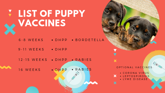 vaccinations for dogs