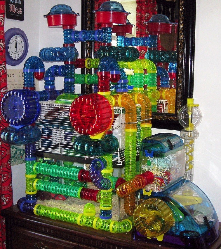 hamster cage large cool