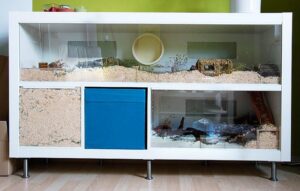 IKEA Hamster Cage Ideas - Mamas