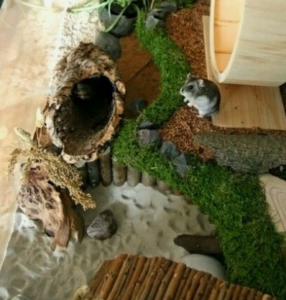 Coconut Hide for Small Animals, Hamster, Gerbil & Mouse Hide, 100% Natural