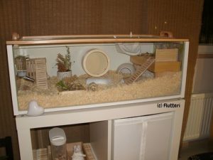 diy ikea hamster cage