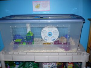 storage bin hamster cage